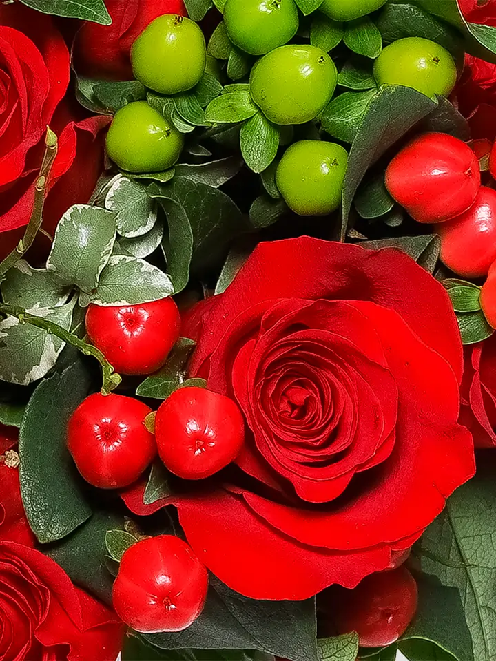 Rose rosse e bacche